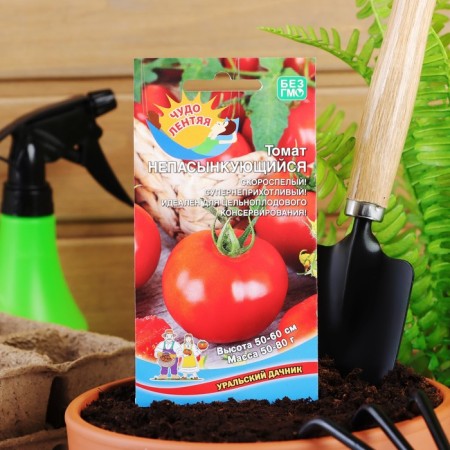 Seed tomato "non -surging" early, 20 pcs.-2