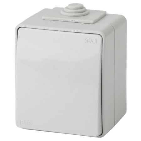 Switch IP65, 10AX 250V, OU, Era Expert, Gray