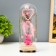 Nightlight "Bear" LED from batteries 3xlr44 mix 7x7x18.5 cm Risalux