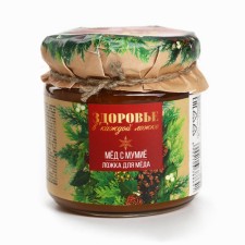 Мёд с мумие «Здоровье в каждой ложке» , 250 г.