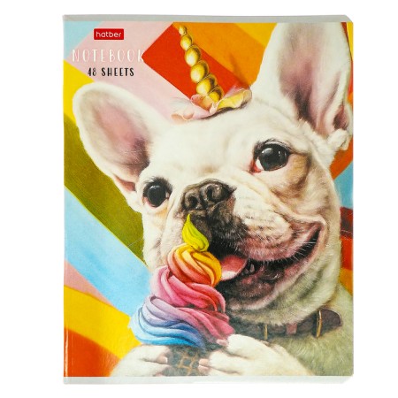 Notebook 48l Lin Learn yourself!, Obla chalk cards, rounded carcass, bl 65g/m2, mix-5