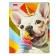 Notebook 48l Lin Learn yourself!, Obla chalk cards, rounded carcass, bl 65g/m2, mix