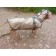 A raincoat with a hood for dogs OSSO, p. 30 (DS 30 cm), transparent, edging mix flowers