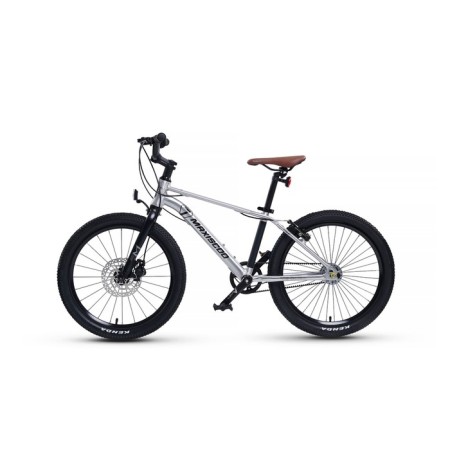 Bicycle 20 ’’ maxiscoo 7bike M700, silver color-2