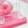 A cell for rodents equipped RT-2C, 23 x 16.5 x 20 cm, pink