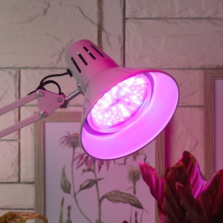 Phytolamp for plants LED era Fito-18W-Rb-E27 red-blue spectrum 18 W E27-12