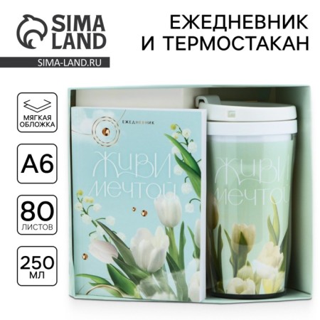 Gift set: A6 diary 80 sheets and a thermostatic 250 ml "since March 8"