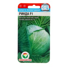 Cabbage seeds of white Rinda, F1, 10 pcs.