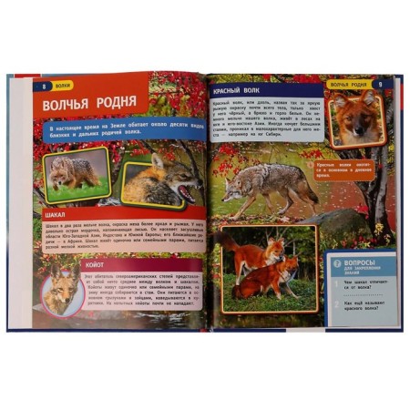 Wolves. Encyclopedia A4. 48 p.-3
