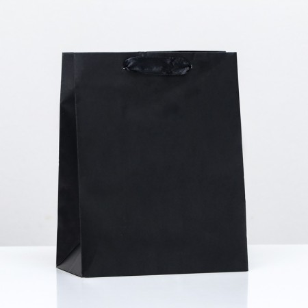 Laminated packet "Black", 18 x 23 x 10 cm