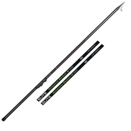 The float rod with the rings of Salmo Elite Bolognese Medium M, test 3-20 g, length 5 m.