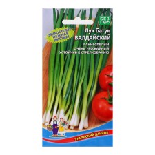 Semyon onions 