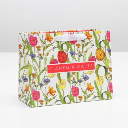 Package Gift Laminated Horizontal, Packaging, "Happy Day of March 8", MS 23 x 18 x 10 cm-1