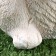 Garden figure "Hare" White, 11x11x18cm ////