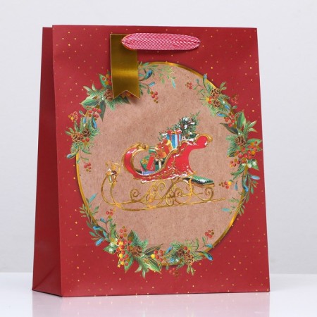 Gift package "Sani with gifts" 26 x 32 x 12 cm-2