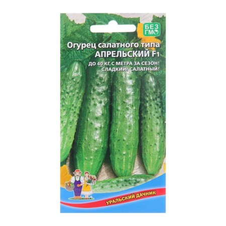 Cucumber April F1, early -grown, parthenocarpic, 10pcs-4