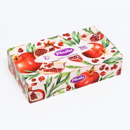 Paper napkins in Plushe box, 2 layers, 100 sheets-11