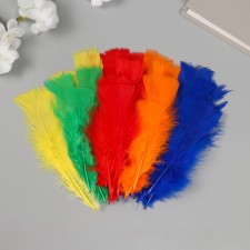 Decorative goose fan penis set 30 pcs h = 10-15 cm