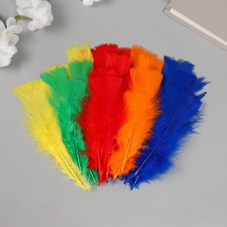 Decorative goose fan penis set 30 pcs h = 10-15 cm