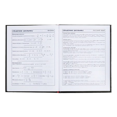 Diary for grades 5-11, 48 sheets "motorcycle racer", hard cover, glossy lamination, foil embossing, universal cheat sheet, block 65g/m2-11