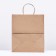 Craft bag without printing, round handle 24 x 14 x 28 cm, set 10 pcs 2492931