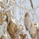 Breeze chandelier, size 40x69x40 cm, 240W 4XE27 IP 20