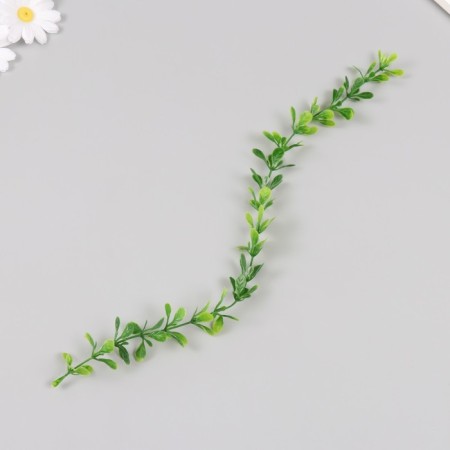 An artificial plant for creativity "Liana from eucalyptus leaves" set of 6 pcs 39 cm-2