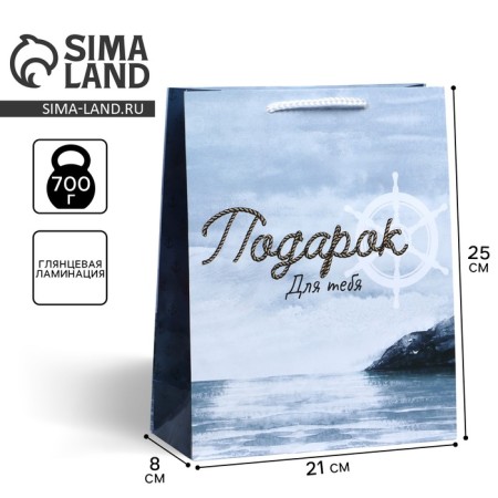 Gift laminated package, packaging, Pressent for You, Ml 21 x 25 x 8 cm