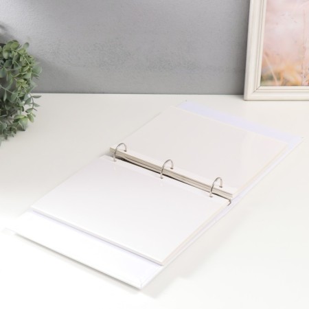 Photo album on 50 magnetic sheets 23x28 cm, on the rings "Portfolio Blanc"-2