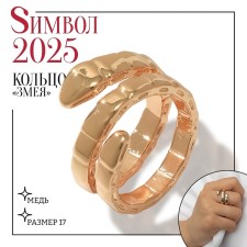 New Year! Symbol of the year 2025! Ring Metal 
