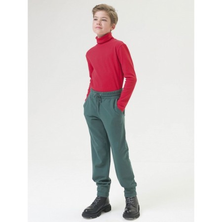 Turtleneck for the boy Pelican, height 134 cm, red color-3