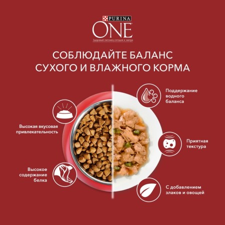 Сухой корм Purinа One medium/maxi для взрослых собак, курица/рис, 10 кг-8