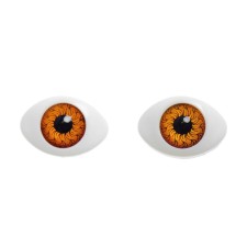 Eyes, set of 8 pcs., The size of the iris is 12 mm, the color of the brown