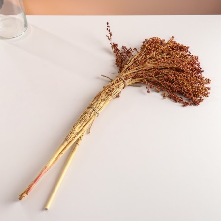 A set of dried flowers "sorghum", banch 3-5 pcs, length 60 (+/- 6 cm), natural-3
