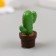 Figure for Florarium Polystone "Cactus in a pot" 3x3.5 cm