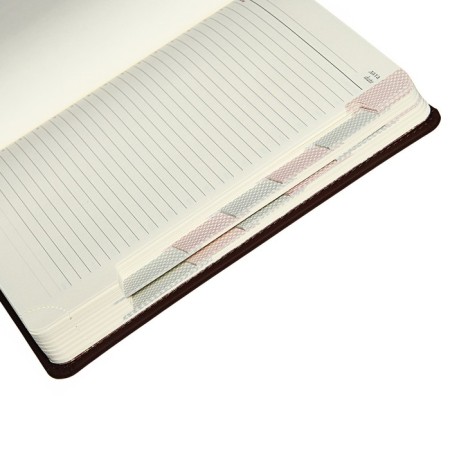 Leduced A5 Diary, 136 Velvet Index sheets, hard cover, artificial leather, lamination Soft Touch, lies, tinted block 70 g/m2, brown-10