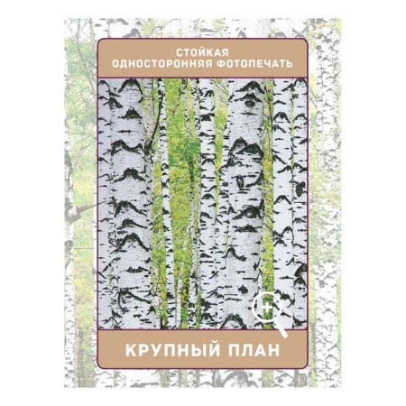 Photostes "Birch Grove", Saten, size 145x265 cm, 2 pcs-2