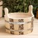 Gang of linden, 6 l, round, two -handed, plastic insert (Figure 9)