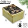 Participer folding box, 31.2 x 25.6 x 16.1 cm, New Year