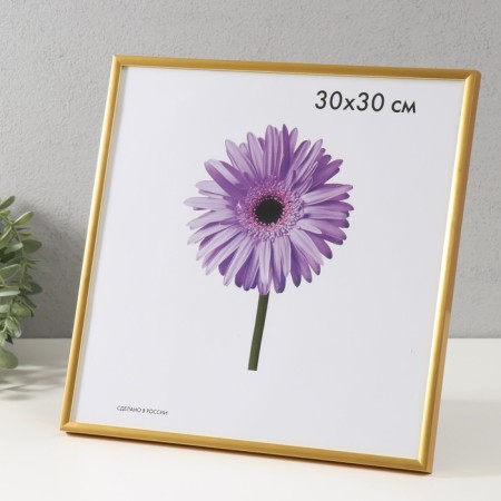 Photo frame plastic LIDA 30x30 cm Gold (plastic screen)-1