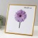 Photo frame plastic LIDA 30x30 cm Gold (plastic screen)