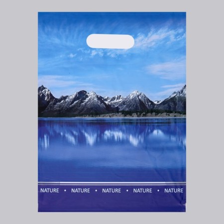 Lake package, polyethylene, with a cut pen, 31 x 40 cm, 60 μm