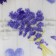 Pillowcase decorative lavender 40x40cm, Velsoft, 280g/m, PE 100%
