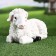 Garden figure "lambs lies" 29x15x17cm