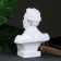 Bust Pushkin A.S., White 20x26cm