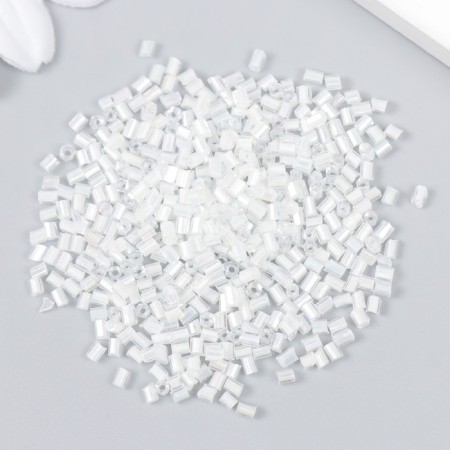 Zlatka beads 10/0, 10 g, No. 0256 White-2