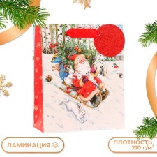 Gift package 