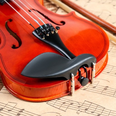 Music Life 1/8 violin, included case and bow-2