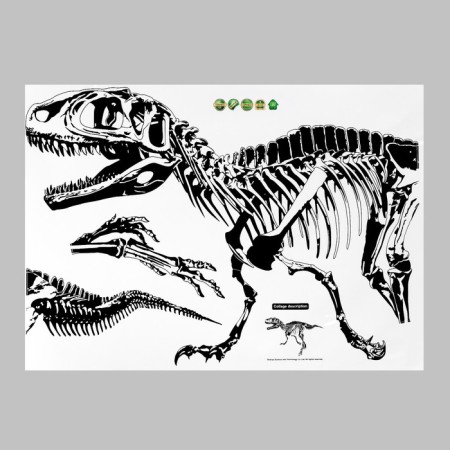 Sticker Plastic Interior Black Tyranosaurus 50x70 cm-1
