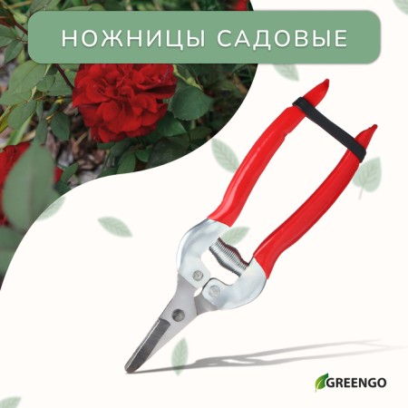 Garden scissors, 7 "(18 cm), with metal pens, rubberized handle, Greengo